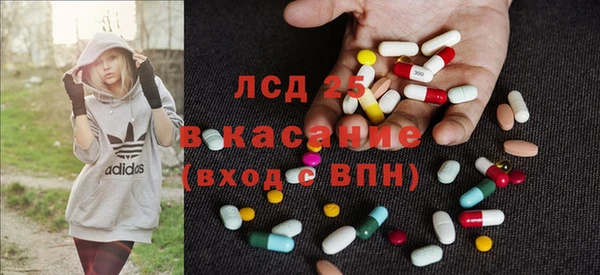 гидра Беслан