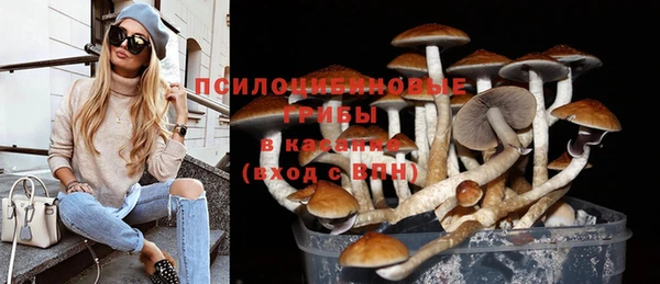 дурь Абаза